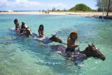 Private Transportation to ATV and Horseback Ride 'N' Swim From Runaway Bay Hotels